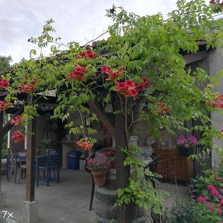 Bed and Breakfast Le Coq En Pate Ромії-сюр-Сен Екстер'єр фото