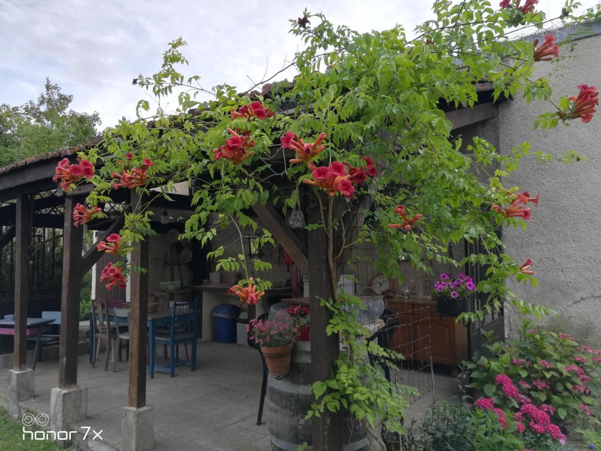 Bed and Breakfast Le Coq En Pate Ромії-сюр-Сен Екстер'єр фото